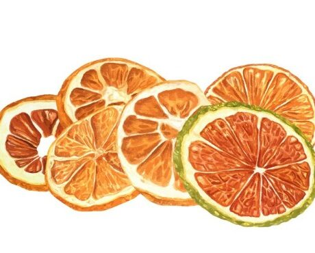 Citrus Garnishes